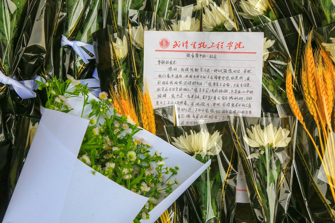 威廉希尔师生缅怀袁隆平院士、吴孟超院士